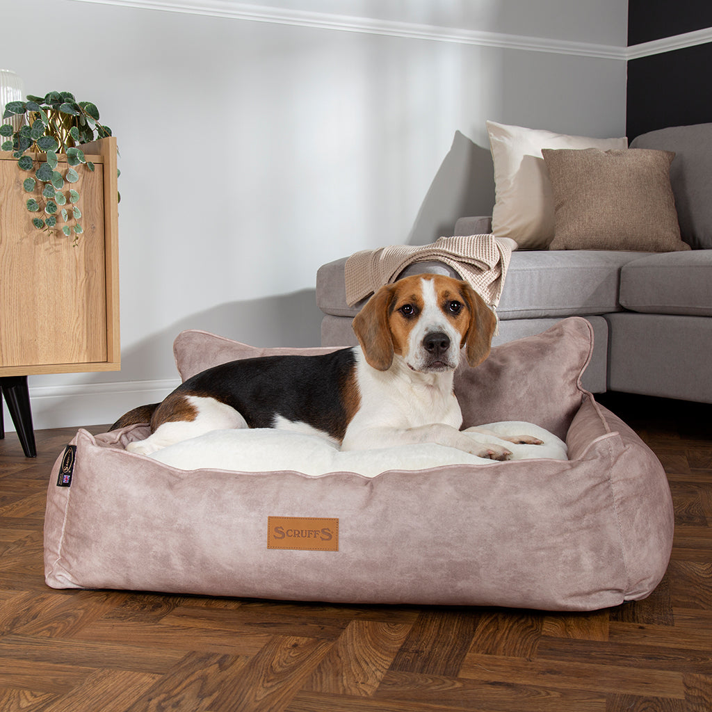 Kensington Box Dog Bed (in Cream, Chocolate, Navy or Grey) by Scruffs-9