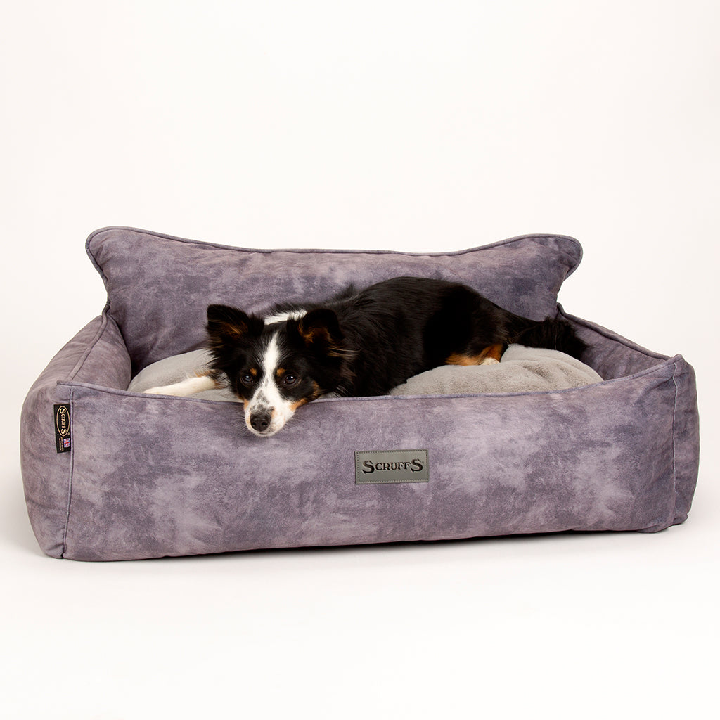 Kensington Box Dog Bed (in Cream, Chocolate, Navy or Grey) by Scruffs-15