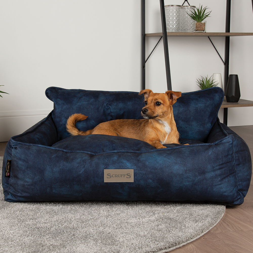 Kensington Box Dog Bed (in Cream, Chocolate, Navy or Grey) by Scruffs-12