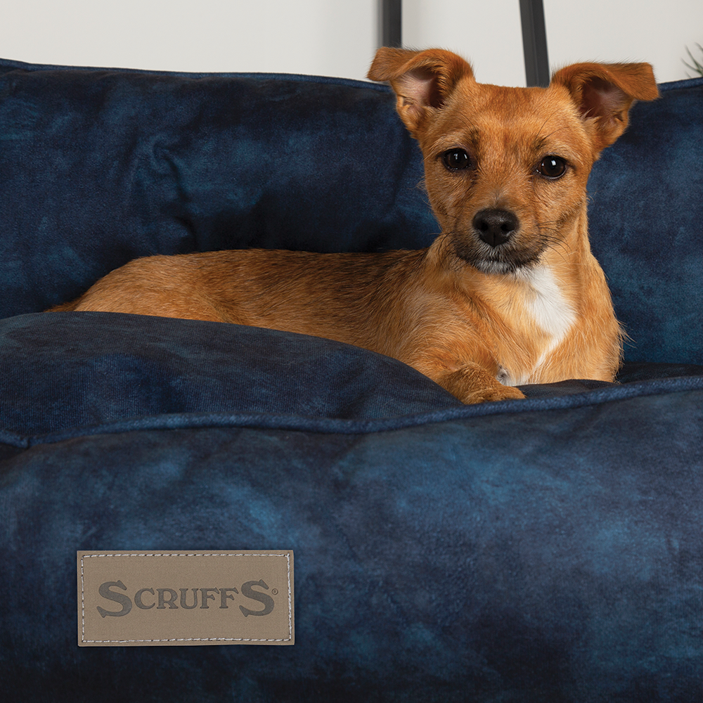 Kensington Box Dog Bed (in Cream, Chocolate, Navy or Grey) by Scruffs-17