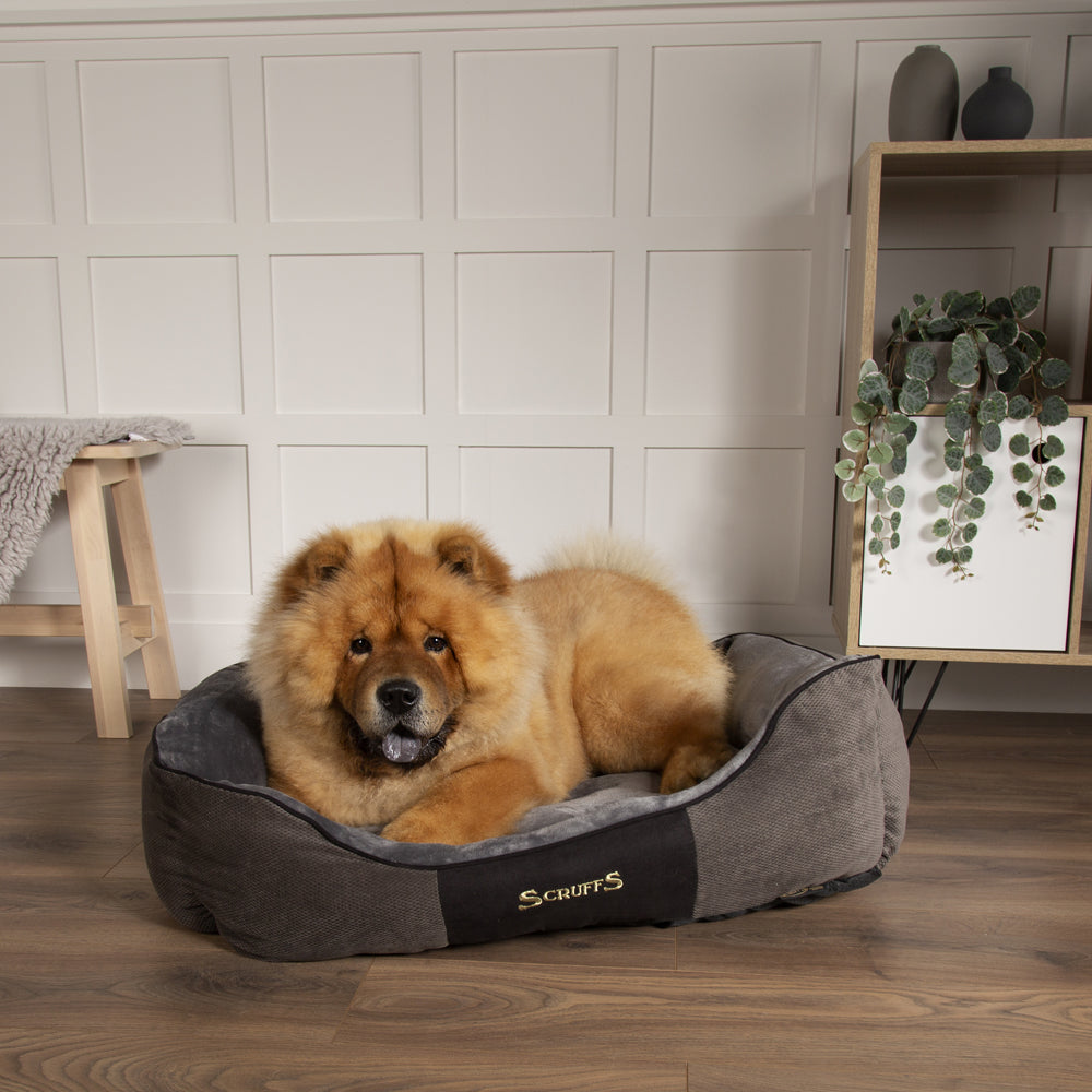 Chester Box Dog Bed (in Chocolate Brown, Dark Grey or Graphite Grey) by Scruffs-8