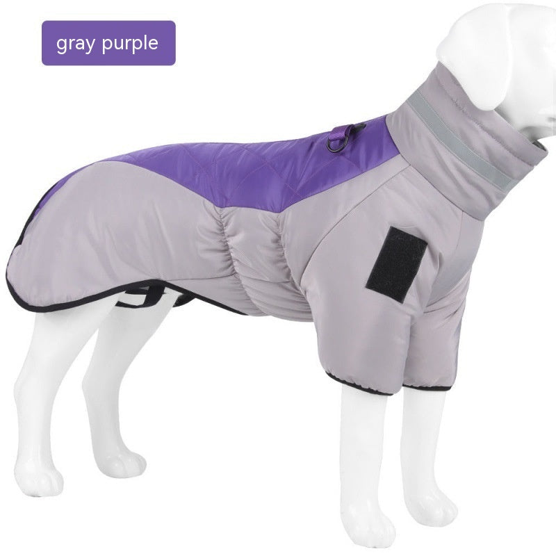 Dog Warm and Cozy in Style-4