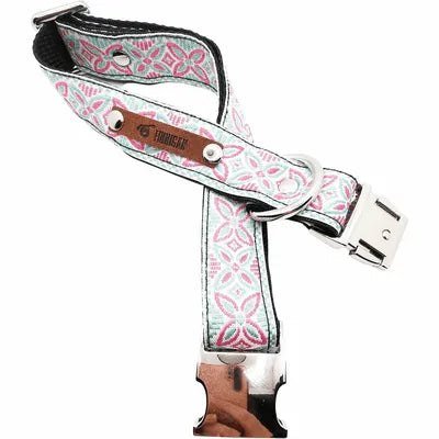 Finnigan's Signature Dog Collar Set-2