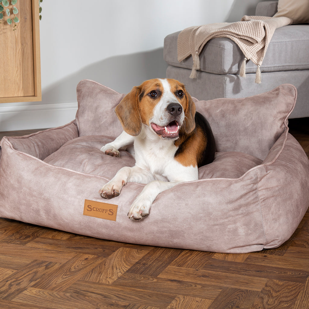 Kensington Box Dog Bed (in Cream, Chocolate, Navy or Grey) by Scruffs-6
