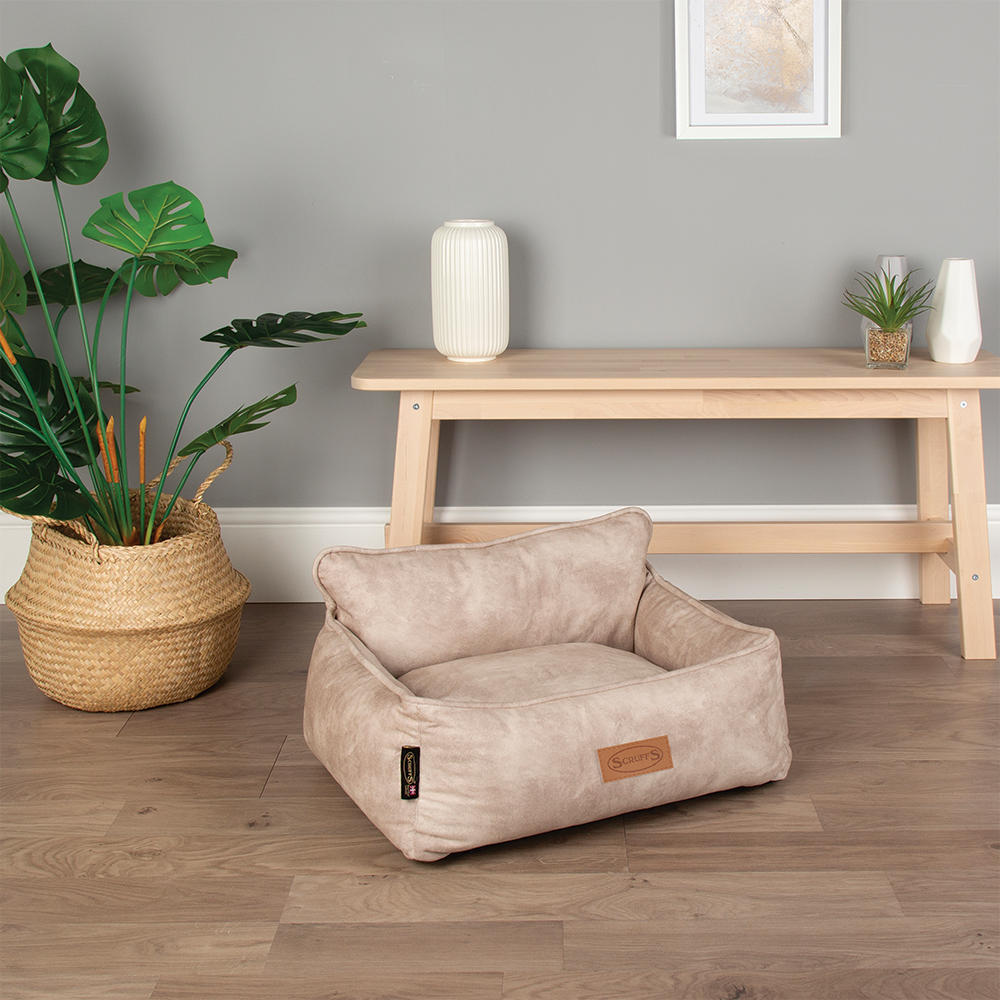 Kensington Box Dog Bed (in Cream, Chocolate, Navy or Grey) by Scruffs-14