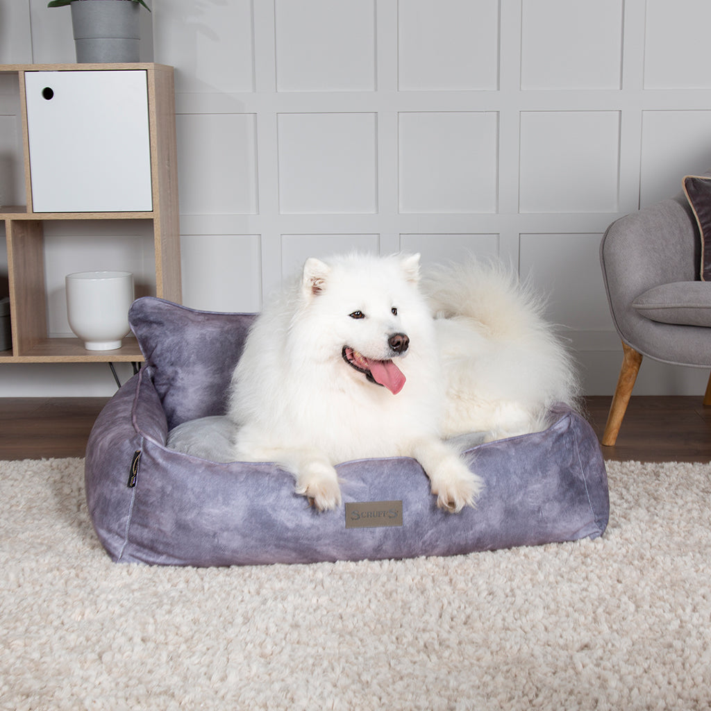 Kensington Box Dog Bed (in Cream, Chocolate, Navy or Grey) by Scruffs-0