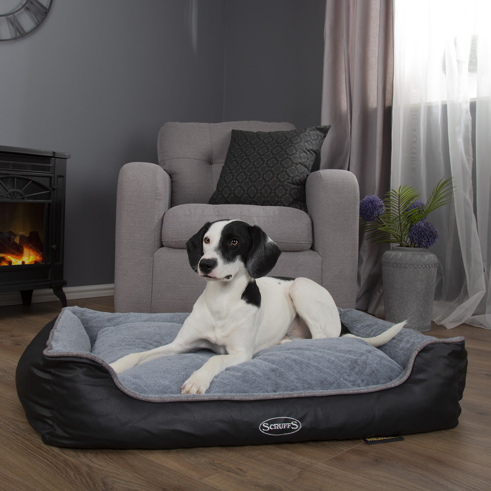 Chateau Memory Foam Orthopaedic Box Dog Bed (Dove, Latte) by Scruffs-2