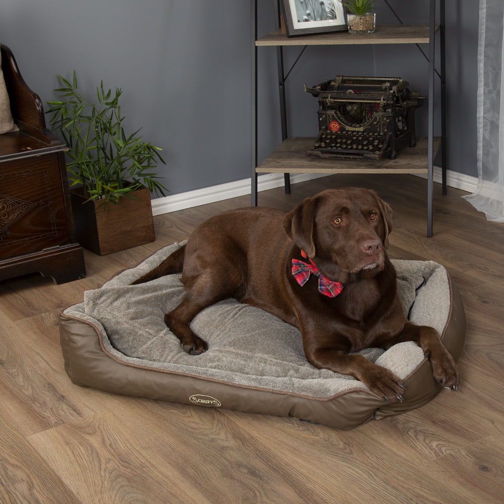 Chateau Memory Foam Orthopaedic Box Dog Bed (Dove, Latte) by Scruffs-8