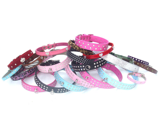 The Dog Collection Starter Bundle-0