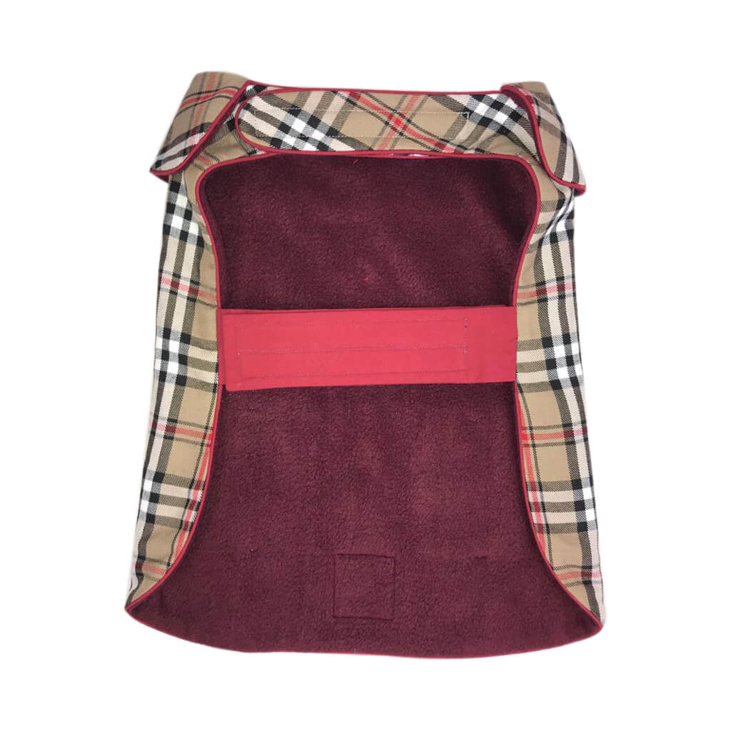 Scottish by Doggy Doo Little-1