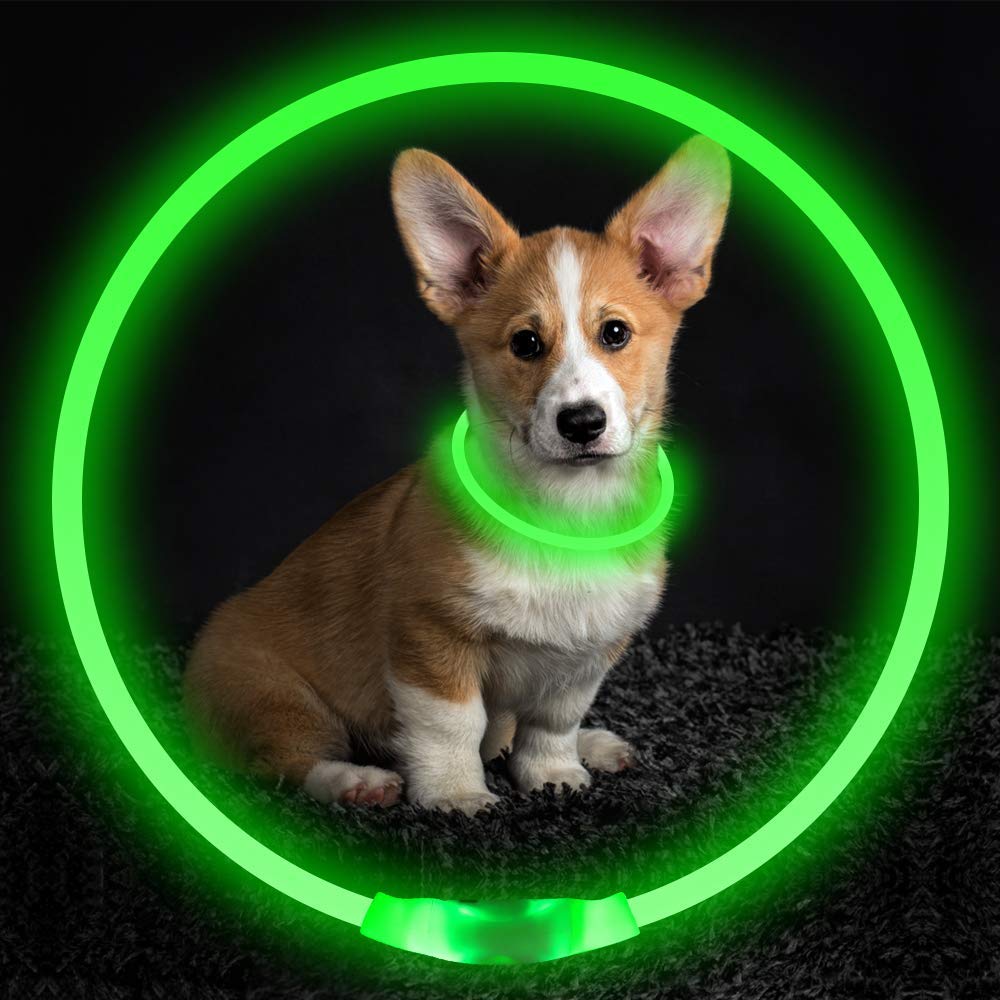 USB Rechargeable Safety Pet Collar-1