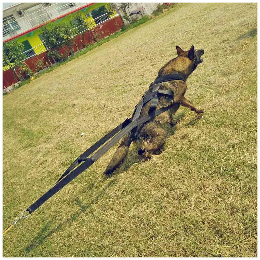 Dog training supplies Dog supplies Leashes Chest straps-3