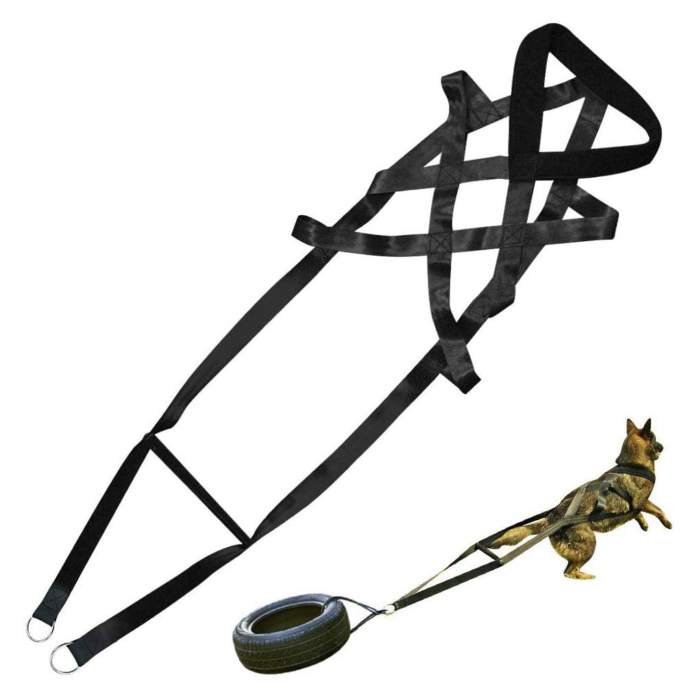 Dog training supplies Dog supplies Leashes Chest straps-1