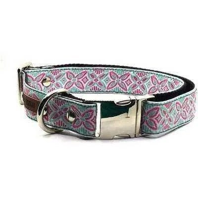 Finnigan's Signature Dog Collar Set-3