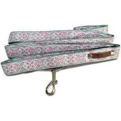 Finnigan's Signature Dog Collar Set-4